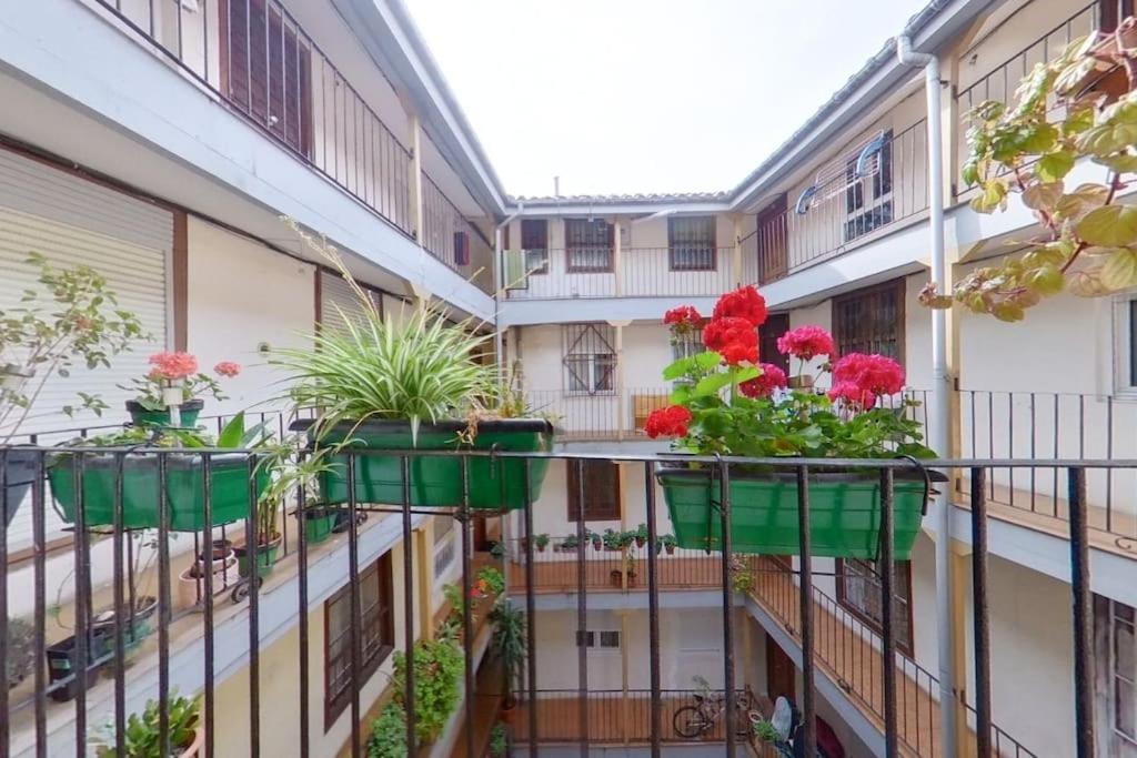 Pleno centro de Santander, 3 habitaciones dobles, para 6 personas! A unos pasos de una de las bahías más bellas del mundo! Exterior foto