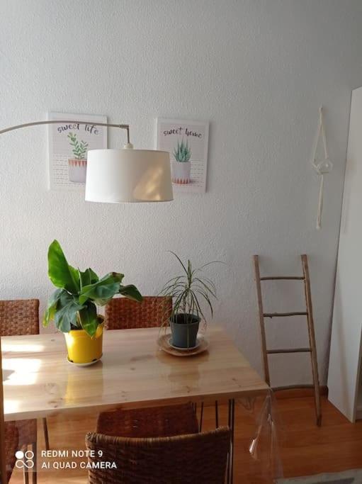 Pleno centro de Santander, 3 habitaciones dobles, para 6 personas! A unos pasos de una de las bahías más bellas del mundo! Exterior foto